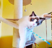 /album/nase-odchovy/irwin-10-months-jpg/